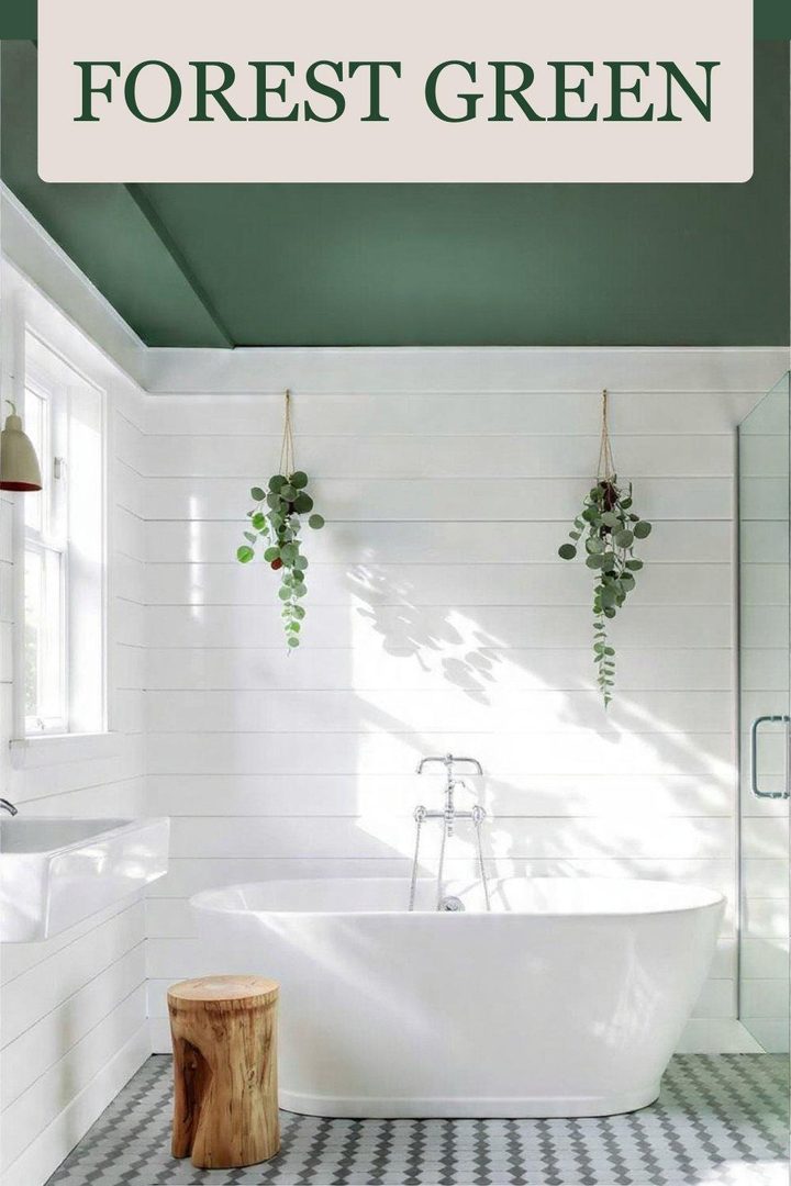 25 Forest Green Apartment Ideas Perfect for Nature Lovers β inspiration 9 of 24
