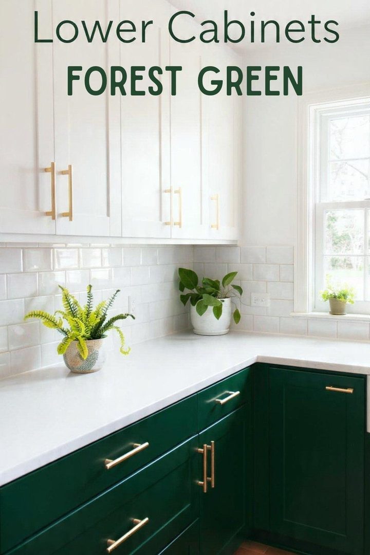 25 Forest Green Apartment Ideas Perfect for Nature Lovers β inspiration 6 of 24