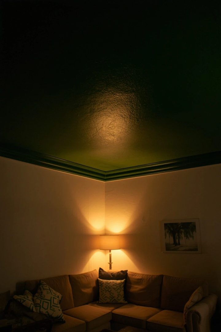 Idea 12: Painting the Ceiling a Different Colour